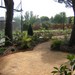 Jardín de Húmera (Pozuelo) #5
